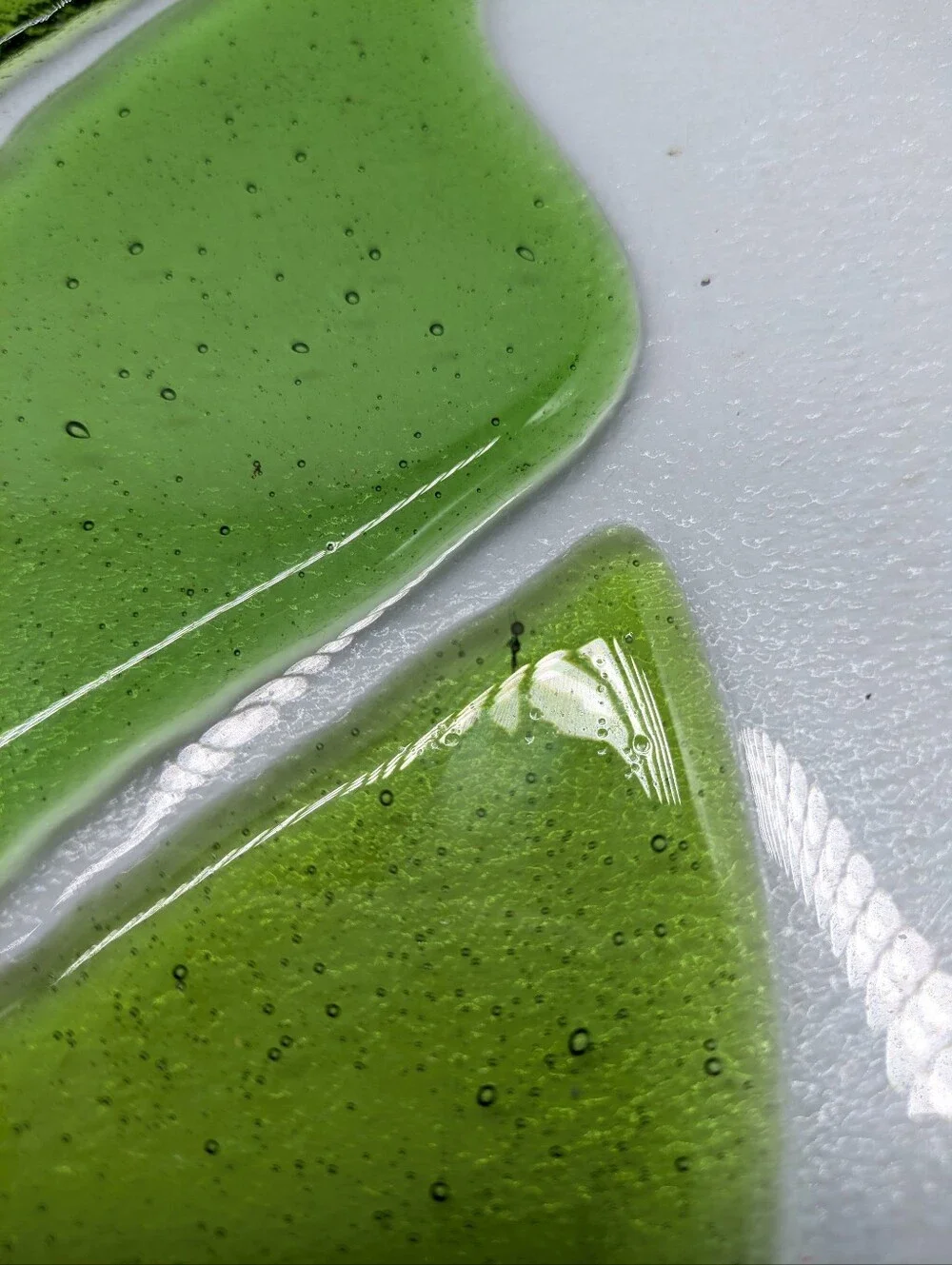 Crate & Barrel Green Monstera Clear Fused Glass Serving Plate